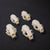 Mink Skull - Natural Animal Bone Specimen, Decorative Piece, Collectible, Bone Carving DIY Material