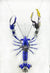 Steampunk Mechanical Mutant 3D Giant Blue Shrimp Sculpture Handmade Creature Crafts for Table Home Art Decor Robots Aesthetic Art